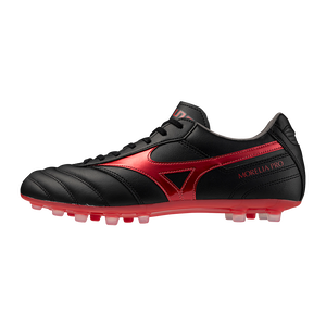 MORELIA II PRO AG